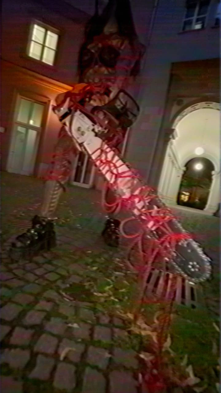 Ariana Ruža — chainsaw wrapped in rope